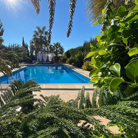 Вілла Vacaciones La Marina Costa Blanca Екстер'єр фото