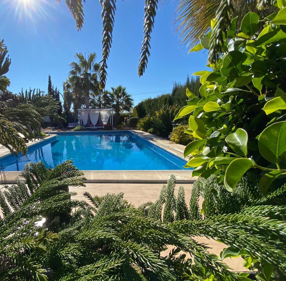 Вілла Vacaciones La Marina Costa Blanca Екстер'єр фото